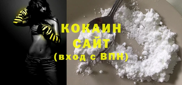 прущие грибы Абаза