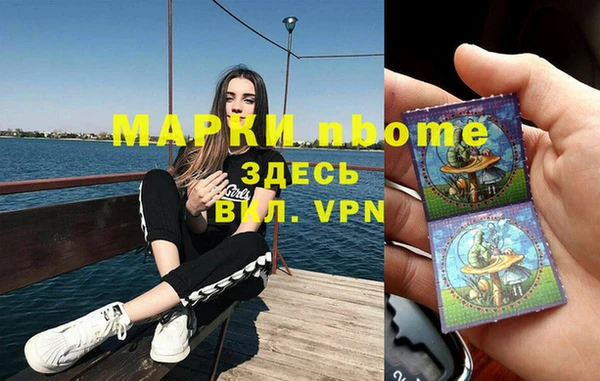 прущие грибы Абаза