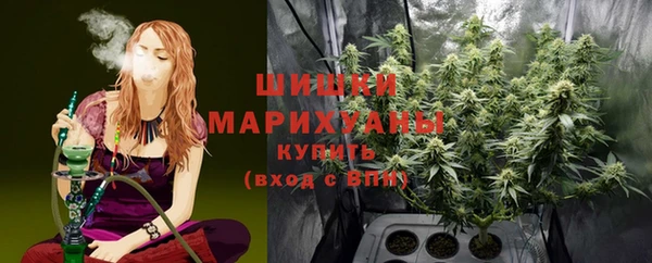 прущие грибы Абаза