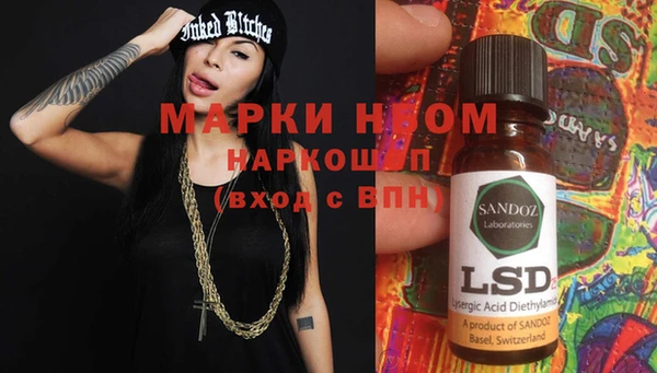прущие грибы Абаза
