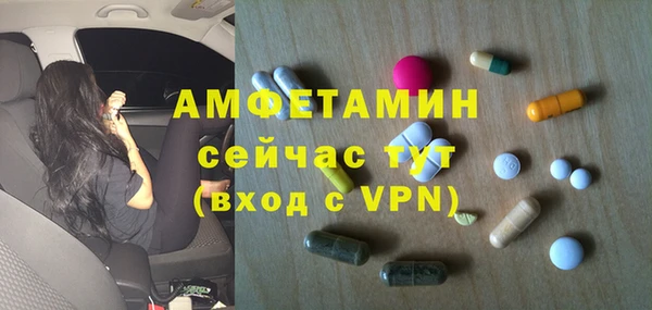 прущие грибы Абаза