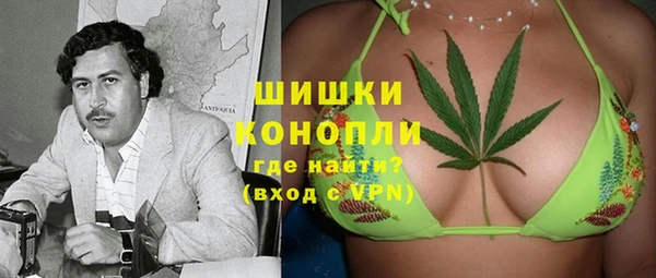 прущие грибы Абаза