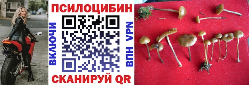 продажа наркотиков ссылка на мегу маркетплейс Галлюциногенные грибы прущие грибы Осташков